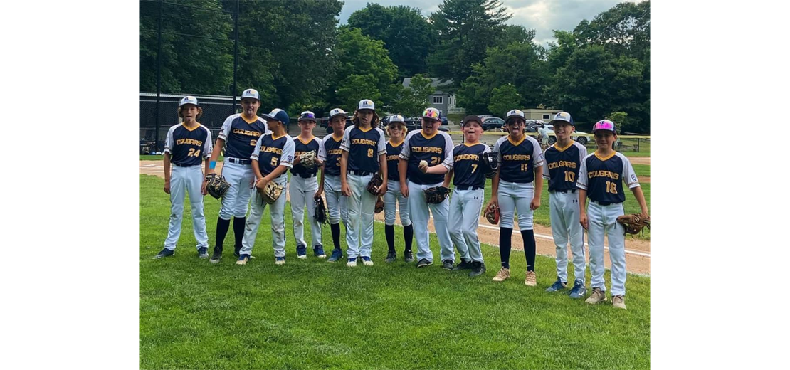 2024 Majors Baseball All Stars Team